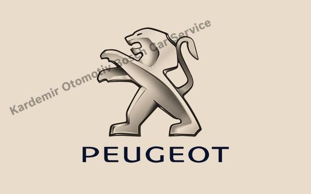 Ankara Peugeot Servisi